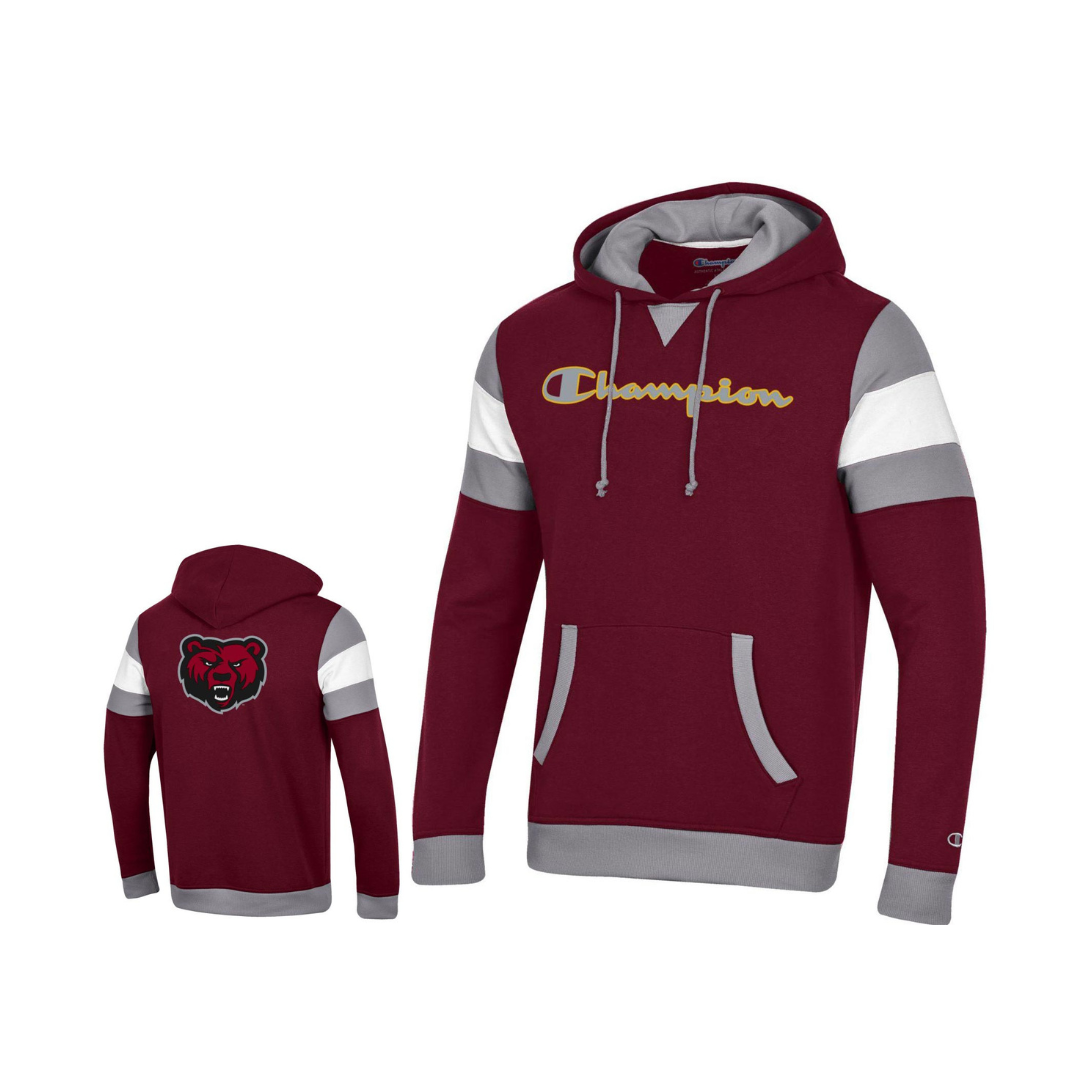 Champion hooded sweatshirt mens best sale